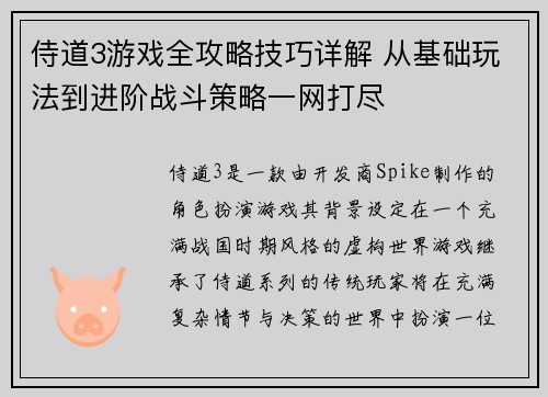 侍道3游戏全攻略技巧详解 从基础玩法到进阶战斗策略一网打尽